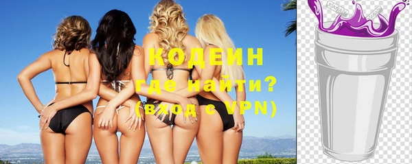 молекула духа Каменка