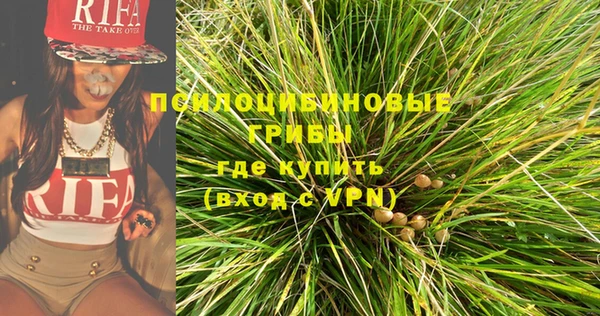 СК Белокуриха