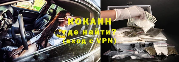 гидра Каменногорск